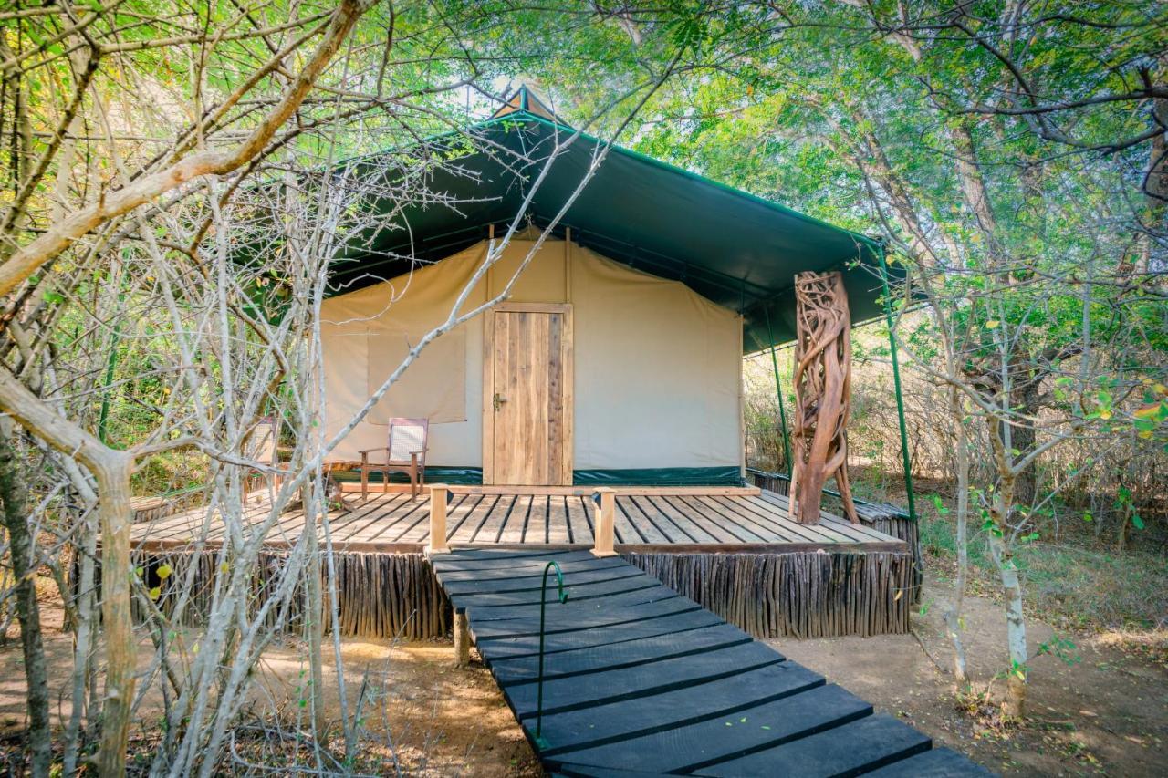 Leopard Safaris Luxuszelt Yala