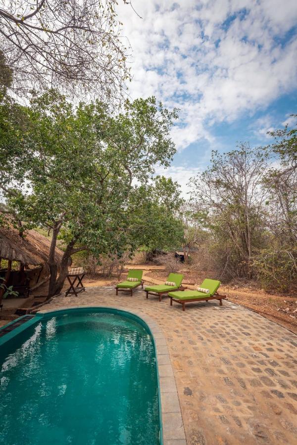 Luxuszelt Leopard Safaris