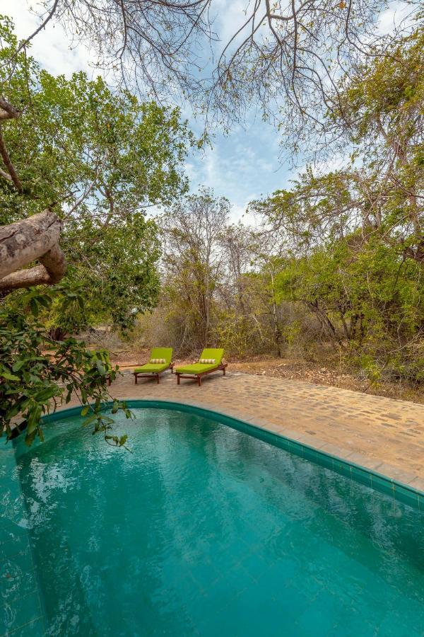 Leopard Safaris Luxuszelt Yala