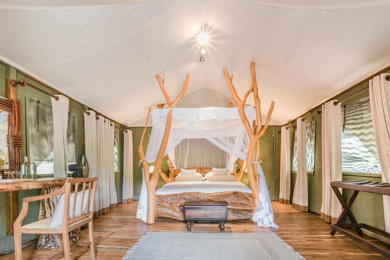 Luxuszelt Leopard Safaris Yala
