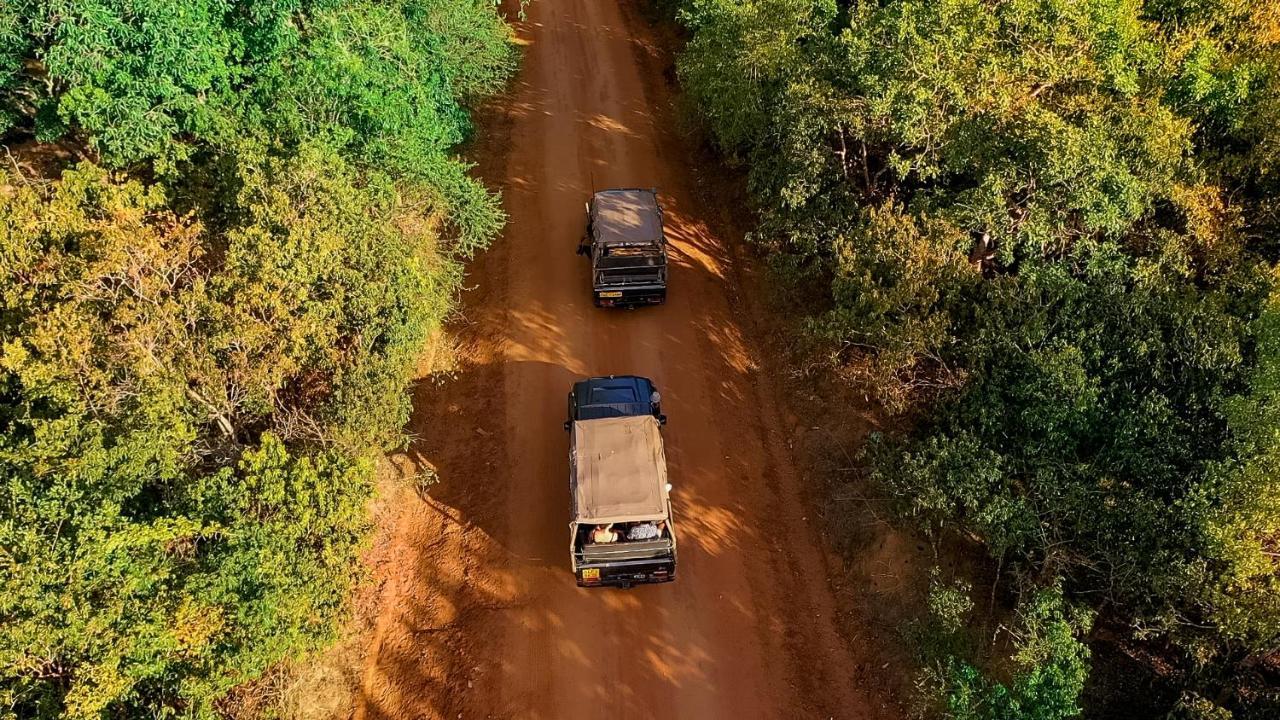 Luxuszelt Leopard Safaris 4*
