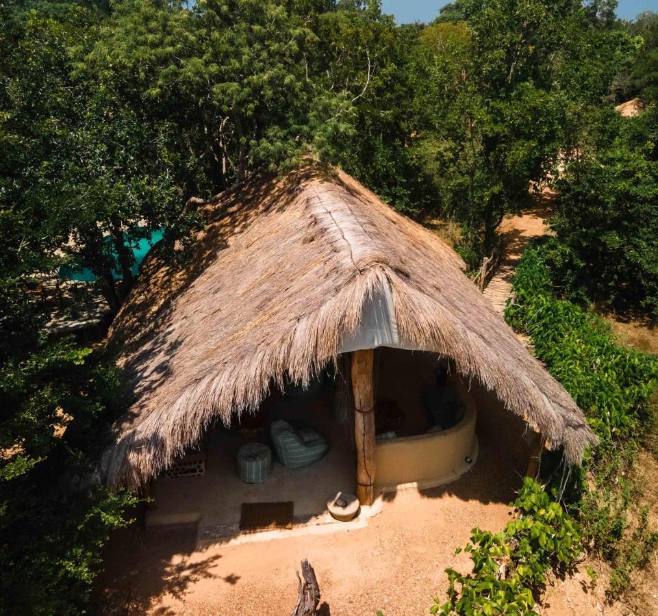 Luxuszelt Leopard Safaris Yala