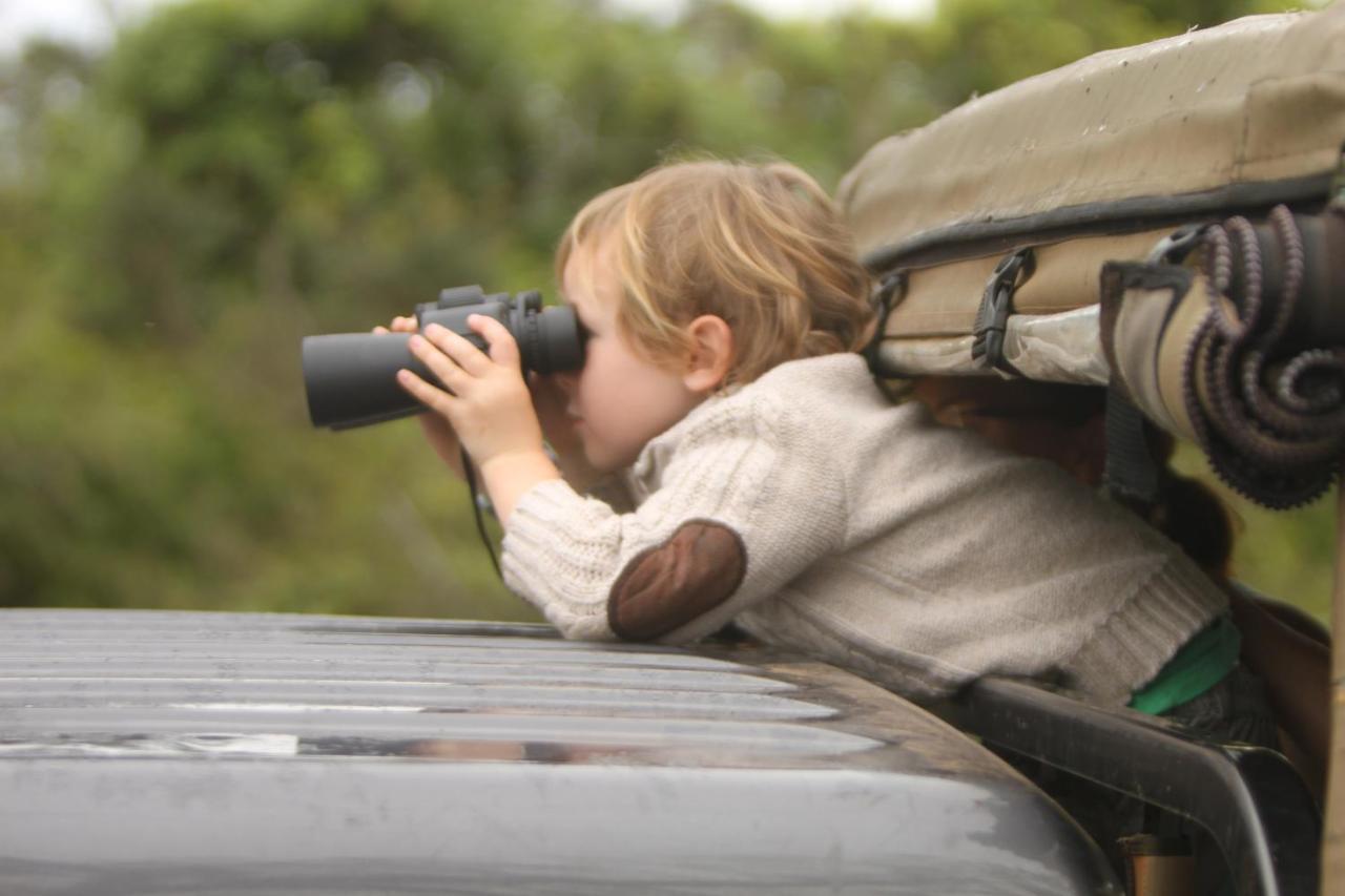 Luxuszelt Leopard Safaris